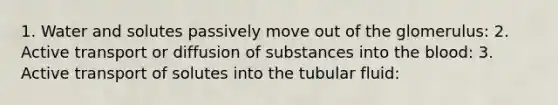 1. Water and solutes passively move out of the glomerulus: 2. Active transport or diffusion of substances into the blood: 3. Active transport of solutes into the tubular fluid: