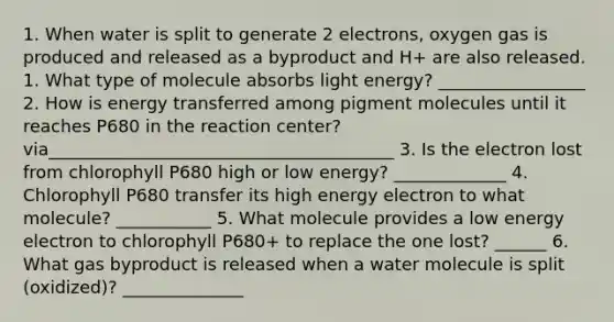 1. When water is split to generate 2 electrons, oxygen gas is produced and released as a byproduct and H+ are also released. 1. What type of molecule absorbs light energy? _________________ 2. How is energy transferred among pigment molecules until it reaches P680 in the reaction center? via________________________________________ 3. Is the electron lost from chlorophyll P680 high or low energy? _____________ 4. Chlorophyll P680 transfer its high energy electron to what molecule? ___________ 5. What molecule provides a low energy electron to chlorophyll P680+ to replace the one lost? ______ 6. What gas byproduct is released when a water molecule is split (oxidized)? ______________