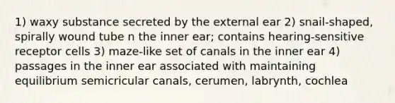 1) waxy substance secreted by the external ear 2) snail-shaped, spirally wound tube n the inner ear; contains hearing-sensitive receptor cells 3) maze-like set of canals in the inner ear 4) passages in the inner ear associated with maintaining equilibrium semicricular canals, cerumen, labrynth, cochlea