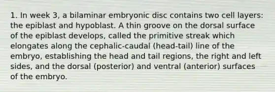 1. In week 3, a bilaminar embryonic disc contains two cell layers: the epiblast and hypoblast. A thin groove on the dorsal surface of the epiblast develops, called the primitive streak which elongates along the cephalic-caudal (head-tail) line of the embryo, establishing the head and tail regions, the right and left sides, and the dorsal (posterior) and ventral (anterior) surfaces of the embryo.