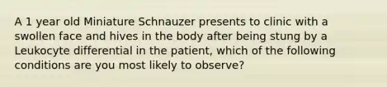 A 1 year old Miniature Schnauzer presents to clinic with a swollen face and hives in the body after being stung by a Leukocyte differential in the patient, which of the following conditions are you most likely to observe?