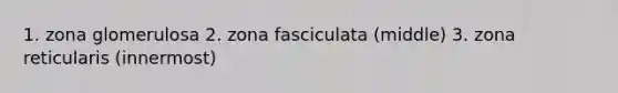 1. zona glomerulosa 2. zona fasciculata (middle) 3. zona reticularis (innermost)