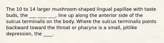 The 10 to 14 larger mushroom-shaped lingual papillae with taste buds, the ___ ____ ___, line up along the anterior side of the sulcus terminalis on the body. Where the sulcus terminalis points backward toward the throat or pharynx is a small, pitlike depression, the ____.