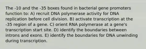 The -10 and the -35 boxes found in bacterial gene promoters function to: A) recruit DNA polymerase activity for DNA replication before cell division. B) activate transcription at the -35 region of a gene. C) orient RNA polymerase at a gene's transcription start site. D) identify the boundaries between introns and exons. E) identify the boundaries for DNA unwinding during transcription.