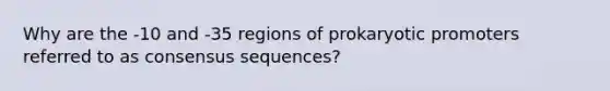 Why are the -10 and -35 regions of prokaryotic promoters referred to as consensus sequences?