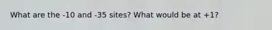 What are the -10 and -35 sites? What would be at +1?