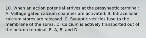 10. When an action potential arrives at the presynaptic terminal: A. Voltage-gated calcium channels are activated. B. Intracellular calcium stores are released. C. Synaptic vesicles fuse to the membrane of the soma. D. Calcium is actively transported out of the neuron terminal. E. A, B, and D