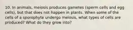 10. In animals, meiosis produces gametes (sperm cells and egg cells), but that does not happen in plants. When some of the cells of a sporophyte undergo meiosis, what types of cells are produced? What do they grow into?