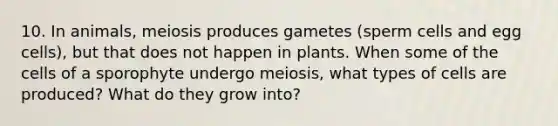 10. In animals, meiosis produces gametes (sperm cells and egg cells), but that does not happen in plants. When some of the cells of a sporophyte undergo meiosis, what types of cells are produced? What do they grow into?