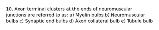 10. Axon terminal clusters at the ends of neuromuscular junctions are referred to as: a) Myelin bulbs b) Neuromuscular bulbs c) Synaptic end bulbs d) Axon collateral bulb e) Tubule bulb