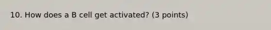 10. How does a B cell get activated? (3 points)