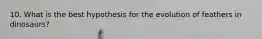10. What is the best hypothesis for the evolution of feathers in dinosaurs?