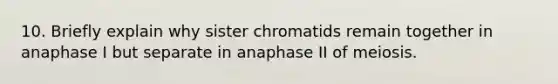 10. Briefly explain why sister chromatids remain together in anaphase I but separate in anaphase II of meiosis.