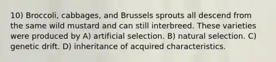 10) Broccoli, cabbages, and Brussels sprouts all descend from the same wild mustard and can still interbreed. These varieties were produced by A) artificial selection. B) natural selection. C) genetic drift. D) inheritance of acquired characteristics.