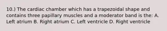 10.) The cardiac chamber which has a trapezoidal shape and contains three papillary muscles and a moderator band is the: A. Left atrium B. Right atrium C. Left ventricle D. Right ventricle