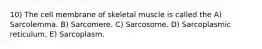 10) The cell membrane of skeletal muscle is called the A) Sarcolemma. B) Sarcomere. C) Sarcosome. D) Sarcoplasmic reticulum. E) Sarcoplasm.