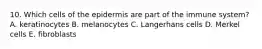 10. Which cells of the epidermis are part of the immune system? A. keratinocytes B. melanocytes C. Langerhans cells D. Merkel cells E. fibroblasts