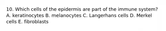 10. Which cells of <a href='https://www.questionai.com/knowledge/kBFgQMpq6s-the-epidermis' class='anchor-knowledge'>the epidermis</a> are part of the immune system? A. keratinocytes B. melanocytes C. Langerhans cells D. Merkel cells E. fibroblasts