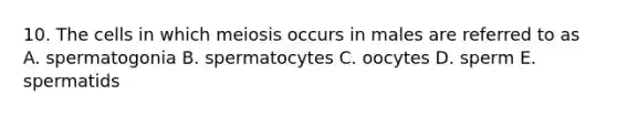 10. The cells in which meiosis occurs in males are referred to as A. spermatogonia B. spermatocytes C. oocytes D. sperm E. spermatids