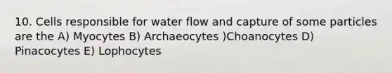 10. Cells responsible for water flow and capture of some particles are the A) Myocytes B) Archaeocytes )Choanocytes D) Pinacocytes E) Lophocytes