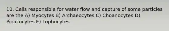 10. Cells responsible for water flow and capture of some particles are the A) Myocytes B) Archaeocytes C) Choanocytes D) Pinacocytes E) Lophocytes