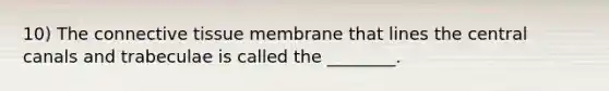 10) The connective tissue membrane that lines the central canals and trabeculae is called the ________.