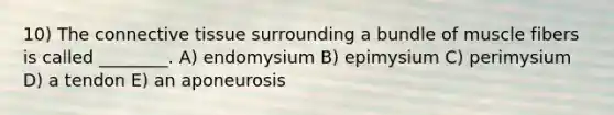 10) The connective tissue surrounding a bundle of muscle fibers is called ________. A) endomysium B) epimysium C) perimysium D) a tendon E) an aponeurosis