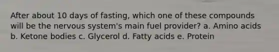 After about 10 days of fasting, which one of these compounds will be the nervous system's main fuel provider? a. Amino acids b. Ketone bodies c. Glycerol d. Fatty acids e. Protein