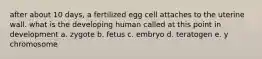 after about 10 days, a fertilized egg cell attaches to the uterine wall. what is the developing human called at this point in development a. zygote b. fetus c. embryo d. teratogen e. y chromosome