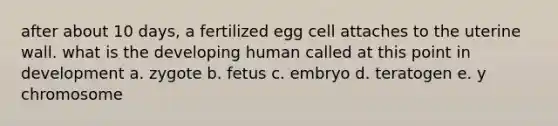 after about 10 days, a fertilized egg cell attaches to the uterine wall. what is the developing human called at this point in development a. zygote b. fetus c. embryo d. teratogen e. y chromosome