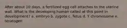 After about 10 days, a fertilized egg cell attaches to the uterine wall. What is the developing human called at this point in development? a. embryo b. zygote c. fetus d. Y chromosome e. teratogen