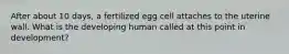 After about 10 days, a fertilized egg cell attaches to the uterine wall. What is the developing human called at this point in development?