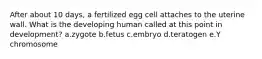 After about 10 days, a fertilized egg cell attaches to the uterine wall. What is the developing human called at this point in development? a.zygote b.fetus c.embryo d.teratogen e.Y chromosome