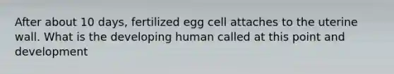 After about 10 days, fertilized egg cell attaches to the uterine wall. What is the developing human called at this point and development