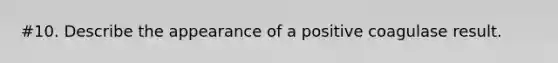 #10. Describe the appearance of a positive coagulase result.