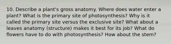 10. Describe a plant's gross anatomy. Where does water enter a plant? What is the primary site of photosynthesis? Why is it called the primary site versus the exclusive site? What about a leaves anatomy (structure) makes it best for its job? What do flowers have to do with photosynthesis? How about the stem?