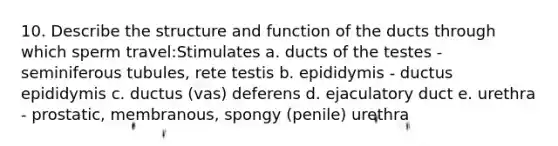 10. Describe the structure and function of the ducts through which sperm travel:Stimulates a. ducts of the testes - seminiferous tubules, rete testis b. epididymis - ductus epididymis c. ductus (vas) deferens d. ejaculatory duct e. urethra - prostatic, membranous, spongy (penile) urethra