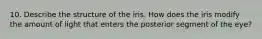 10. Describe the structure of the iris. How does the iris modify the amount of light that enters the posterior segment of the eye?