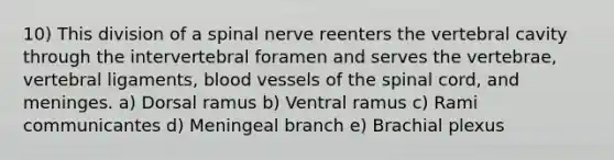 10) This division of a spinal nerve reenters the vertebral cavity through the intervertebral foramen and serves the vertebrae, vertebral ligaments, blood vessels of the spinal cord, and meninges. a) Dorsal ramus b) Ventral ramus c) Rami communicantes d) Meningeal branch e) Brachial plexus