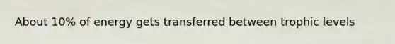 About 10% of energy gets transferred between trophic levels