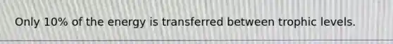 Only 10% of the energy is transferred between trophic levels.