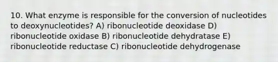 10. What enzyme is responsible for the conversion of nucleotides to deoxynucleotides? A) ribonucleotide deoxidase D) ribonucleotide oxidase B) ribonucleotide dehydratase E) ribonucleotide reductase C) ribonucleotide dehydrogenase