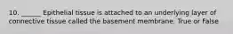 10. ______ Epithelial tissue is attached to an underlying layer of connective tissue called the basement membrane. True or False