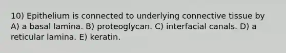 10) Epithelium is connected to underlying connective tissue by A) a basal lamina. B) proteoglycan. C) interfacial canals. D) a reticular lamina. E) keratin.