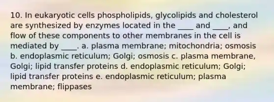 10. In eukaryotic cells phospholipids, glycolipids and cholesterol are synthesized by enzymes located in the ____ and ____, and flow of these components to other membranes in the cell is mediated by ____. a. plasma membrane; mitochondria; osmosis b. endoplasmic reticulum; Golgi; osmosis c. plasma membrane, Golgi; lipid transfer proteins d. endoplasmic reticulum; Golgi; lipid transfer proteins e. endoplasmic reticulum; plasma membrane; flippases