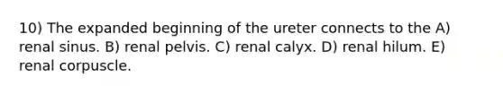 10) The expanded beginning of the ureter connects to the A) renal sinus. B) renal pelvis. C) renal calyx. D) renal hilum. E) renal corpuscle.