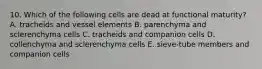 10. Which of the following cells are dead at functional maturity? A. tracheids and vessel elements B. parenchyma and sclerenchyma cells C. tracheids and companion cells D. collenchyma and sclerenchyma cells E. sieve-tube members and companion cells