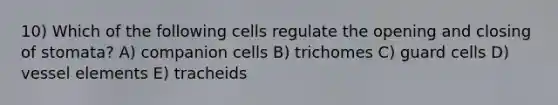 10) Which of the following cells regulate the opening and closing of stomata? A) companion cells B) trichomes C) guard cells D) vessel elements E) tracheids