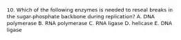 10. Which of the following enzymes is needed to reseal breaks in the sugar-phosphate backbone during replication? A. DNA polymerase B. RNA polymerase C. RNA ligase D. helicase E. DNA ligase