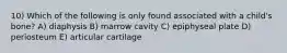 10) Which of the following is only found associated with a child's bone? A) diaphysis B) marrow cavity C) epiphyseal plate D) periosteum E) articular cartilage